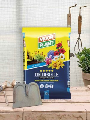 Terriccio Universale Vigorplant 10 litri