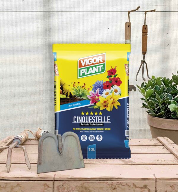 Terriccio Universale Vigorplant 10 litri